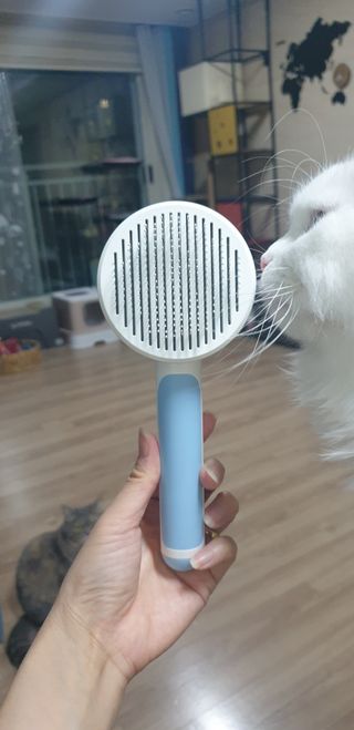우동한그릇님이 올린 리뷰 사진 1