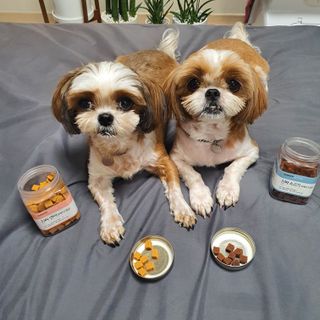 페페로니 진짜 오메가3 연어+소고기 180g+180g — 4점을 준 리뷰어가 2021년 7월 올린 사용 사진