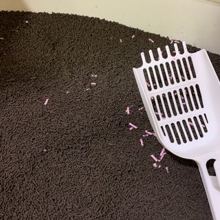 콩빵님이 올린 리뷰 사진 2