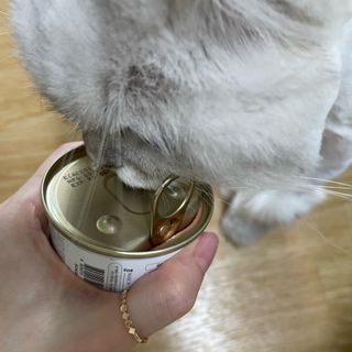 지혜정님이 올린 리뷰 사진 1