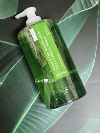 닥터시드 티트리 앤 라임 비건 지성케어 쿨 탈모 샴푸 (1000ml) — 5점을 준 리뷰어가 2024년 4월 올린 사용 사진