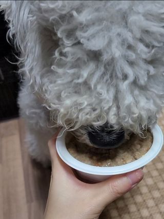 lemoniee님이 올린 리뷰 사진 3