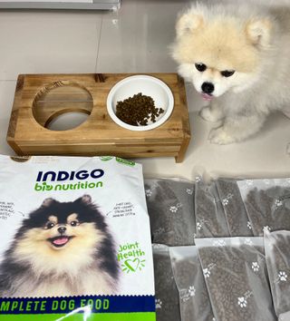 엉듀님이 올린 리뷰 사진 2