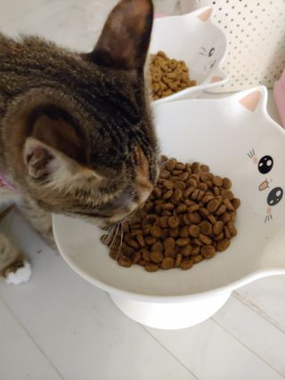 kijoco님이 올린 리뷰 사진 1