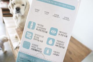 오들희님이 올린 리뷰 사진 2