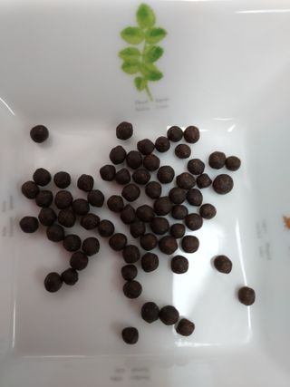 신보웰빙 마이톡스 깔라만시환 1박스/28포 — 5점을 준 리뷰어가 2023년 3월 올린 사용 사진