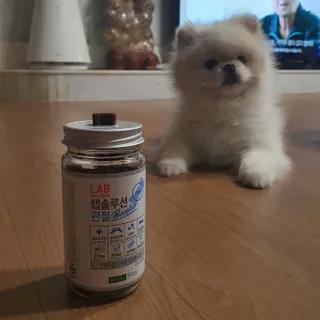 K케이님이 올린 리뷰 사진 2