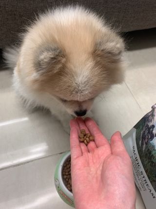 밍크마마님이 올린 리뷰 사진 3
