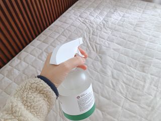 올라잍 편목수 피톤치드 스프레이 — 5점을 준 리뷰어가 2023년 2월 올린 사용 사진