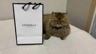 Favorite님이 올린 리뷰 사진 4