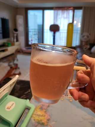 달람하리 DALAMHARI [미.친.탄.산.] 과즙 듬뿍 청량한 탄산 습관 15kcal 슈퍼콤부차 (오미자 / 유자 / 매실 택1) — 5점을 준 리뷰어가 2022년 8월 올린 사용 사진