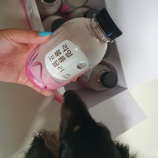 일삼마미뽕님이 올린 리뷰 사진 2