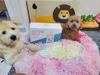 라움이님이 올린 리뷰 사진 1