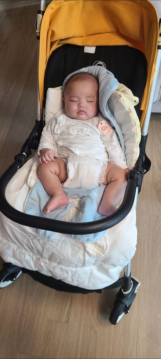 논지님이 올린 리뷰 사진 3