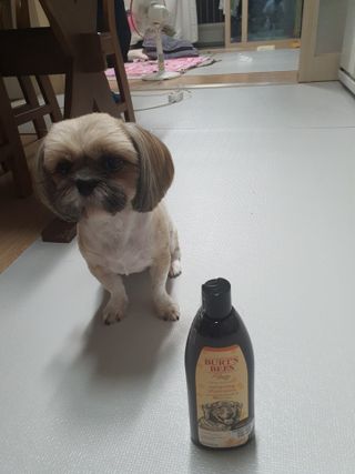 뽀미아빠님이 올린 리뷰 사진 1