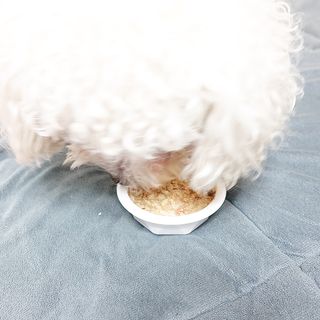 uNisix님이 올린 리뷰 사진 1