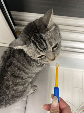 sol님이 올린 리뷰 사진 1