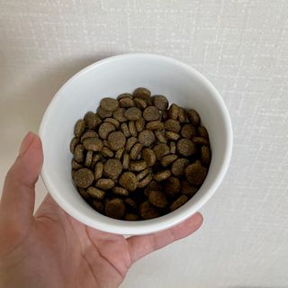 소링님이 올린 리뷰 사진 2