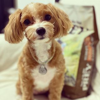 칸쵸님이 올린 리뷰 사진 2