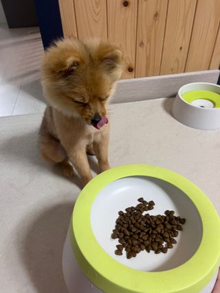 다영님이 올린 리뷰 사진 4