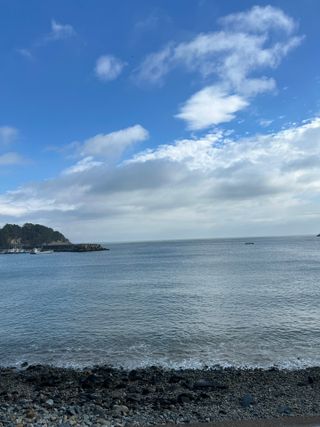 서라님이 올린 리뷰 사진 3