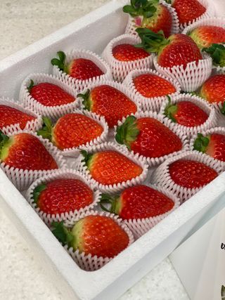 옳음 딸기 논산 설향 딸기 900g 산지직송 — 5점을 준 리뷰어가 2021년 1월 올린 사용 사진