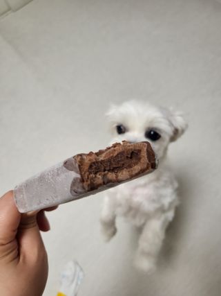 뽀오오옹님이 올린 리뷰 사진 3