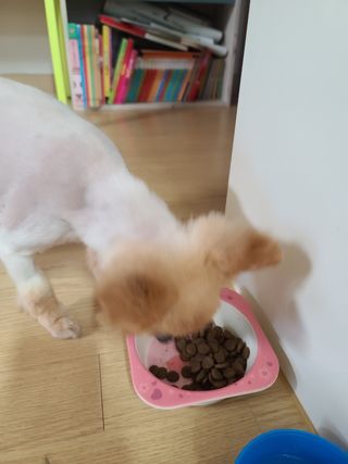 다솜다빈이아빠님이 올린 리뷰 사진 3