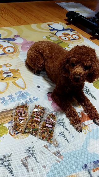 너구리양님이 올린 리뷰 사진 3