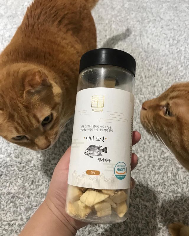 부르르펫 야미트릿 틸라피아 60g 리뷰 사진