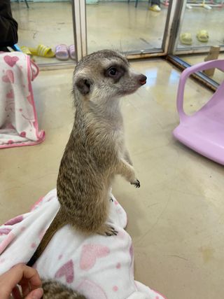 iamsusu님이 올린 리뷰 사진 3