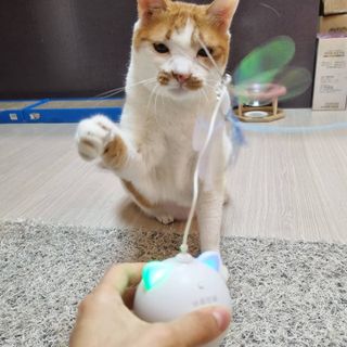 도로농농님이 올린 리뷰 사진 1