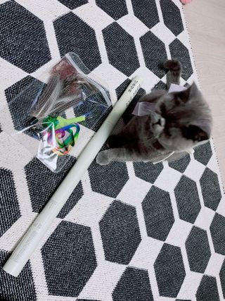 sehee님이 올린 리뷰 사진 2