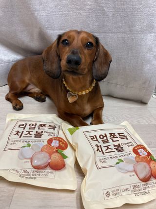 가치식탁 리얼쫀득치즈볼 — 5점을 준 리뷰어가 2021년 2월 올린 사용 사진