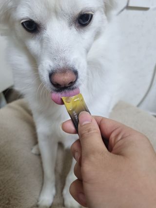 강이님이 올린 리뷰 사진 2