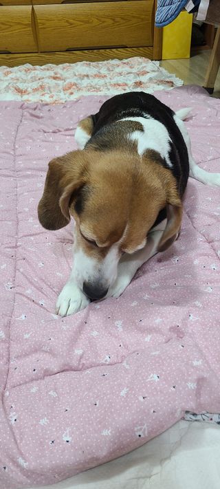 김서영님이 올린 리뷰 사진 2