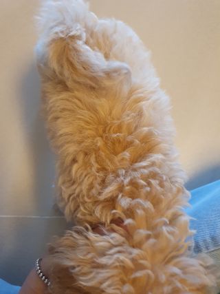 cheers님이 올린 리뷰 사진 3