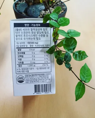 [푸름웰니스] 프리미엄 엽산 (500mgX120정) — 5점을 준 리뷰어가 2022년 6월 올린 사용 사진