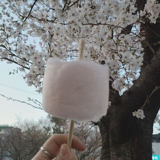 지니야님이 올린 리뷰 사진 3
