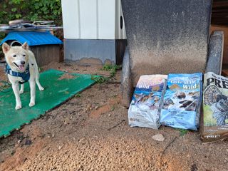 천도님이 올린 리뷰 사진 3