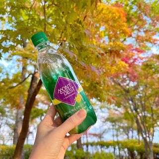 몽베스트 Montbest with Sparkling water Lemon OR Lime 20병(랜덤) — 5점을 준 리뷰어가 2022년 11월 올린 사용 사진