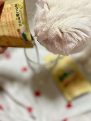 화이집사님이 올린 리뷰 사진 3