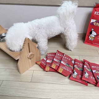 [푸디웜] 라포그  리얼인섹트 관절 저알러지 강아지 사료  1.2KG — 5점을 준 리뷰어가 2022년 8월 올린 사용 사진