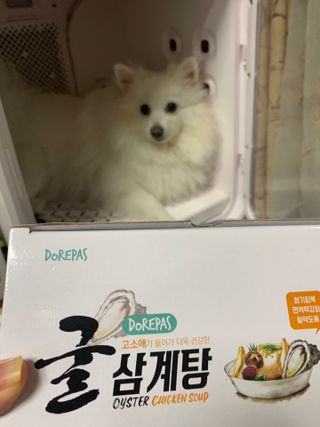 구름님이 올린 리뷰 사진 2