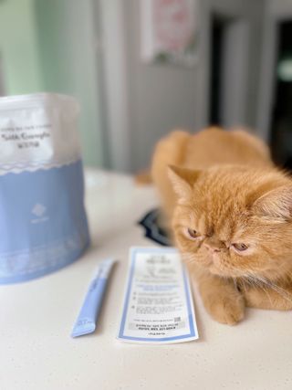 실크가글 실크단백질 함유 구강청결제 11ml 50포 — 5점을 준 리뷰어가 2021년 9월 올린 사용 사진