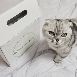 유햐님이 올린 리뷰 사진 3