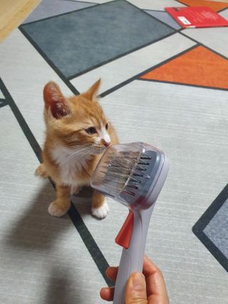나이스님이 올린 리뷰 사진 4