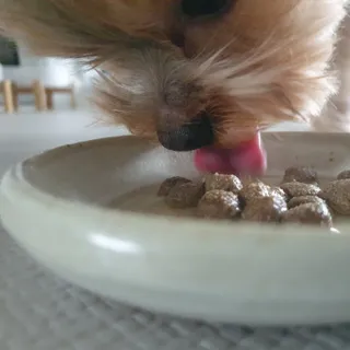 딸기맘님이 올린 리뷰 사진 2