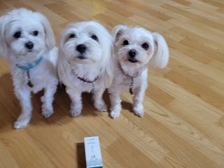 공팔리터님이 올린 리뷰 사진 2