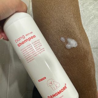 [댕모어 샴푸 2종] 댕샴푸 / 퍼피샴푸  2종 세트 (300ml) — 5점을 준 리뷰어가 2023년 9월 올린 사용 사진
